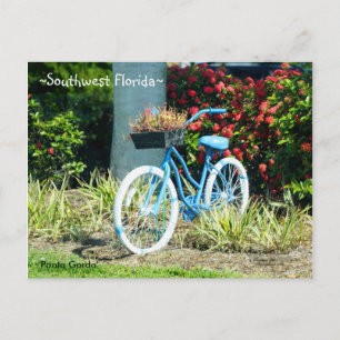 Blue Bicycle Southwest Florida Postkarte