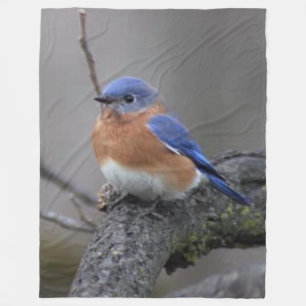 BLUE BIRD FLEECEDECKE