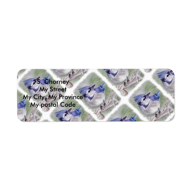 BLUE BIRD OF PARADISIS RÜCKSENDEADRESSE (Vorne)