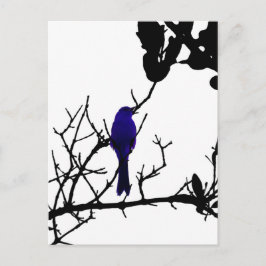 Blue bird on black tree postkarte