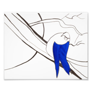 Blue Bird Print Fotodruck