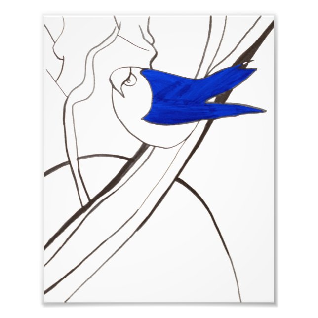 Blue Bird Print Fotodruck (Vorne)