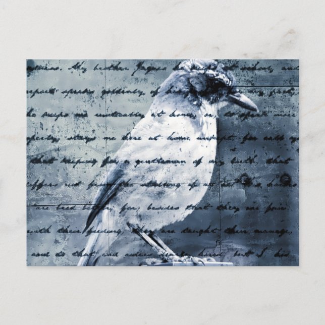 Blue Bird Song Postkarte (Vorderseite)
