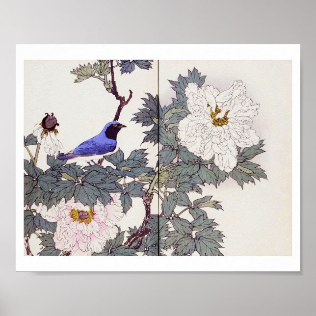 Blue Bird und Peony, Imao Keinen Poster (Vorne)