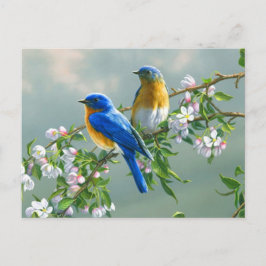 Blue Birds Postcard Postkarte