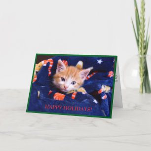 Blue Blanket Cat Orange Kitten Feiertagskarte