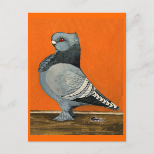 Blue Blondinette Pigeon Postkarte