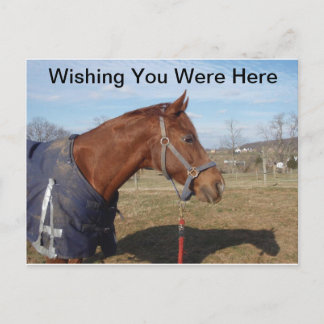 Blue Blue Sea - Sie hätten gerne hier gewesen Postkarte