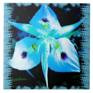 Blue Blume Fairy Fliese