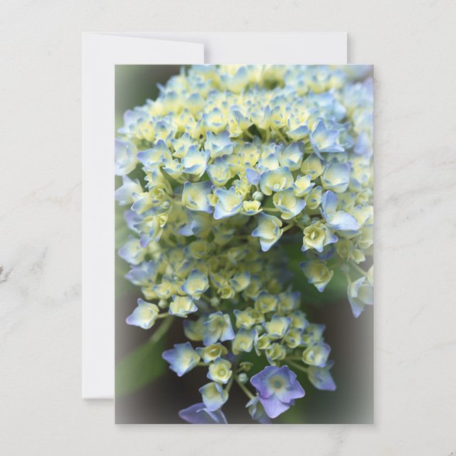 Blue Blume Flat Danke Card (Vorderseite)