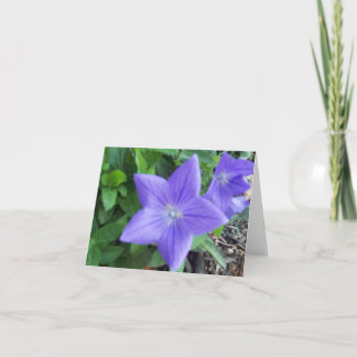 Blue Blume Note Card Karte