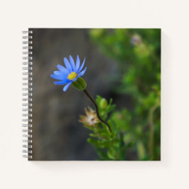 Blue Blume Spiral Notebook Notizbuch