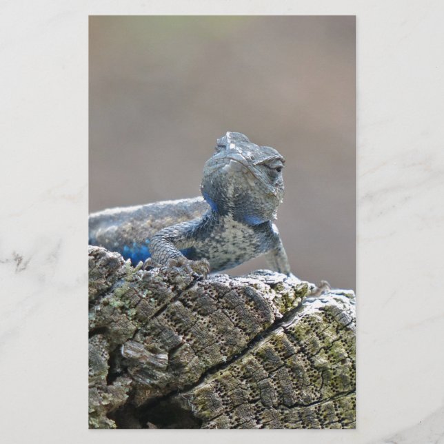 Blue Bly Alligator Lizard Briefpapier (Vorderseite)