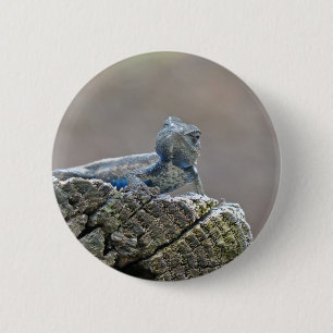 Blue Bly Alligator Lizard Button