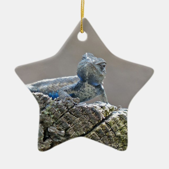 Blue Bly Alligator Lizard Keramikornament (Vorne)