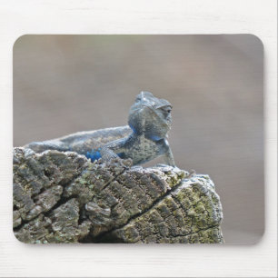 Blue Bly Alligator Lizard Mousepad