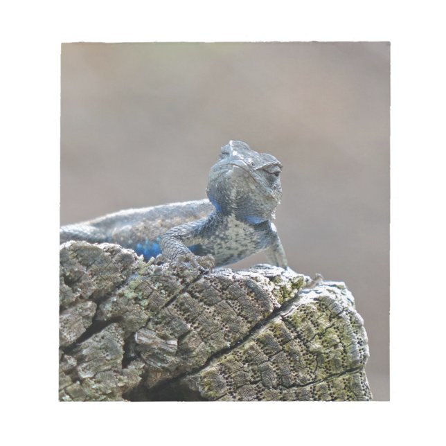 Blue Bly Alligator Lizard Notizblock (Vorderseite)