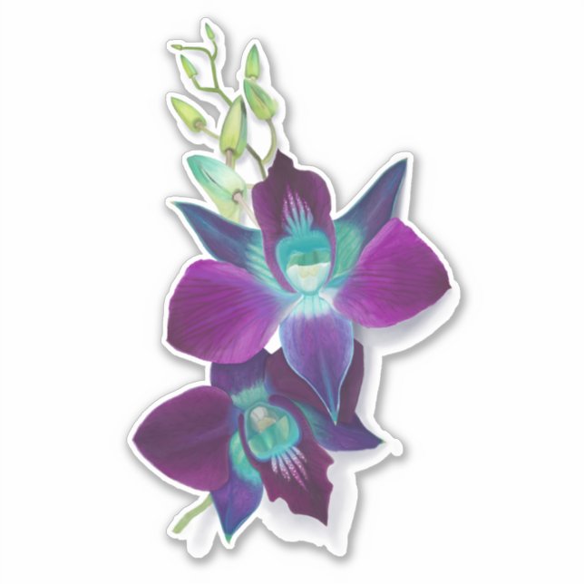 Blue Bom Dendrobium Orchid Blume Kiss-cut Sticker (Vorderseite)