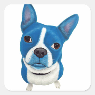 Blue Boston Terrier Quadratischer Aufkleber