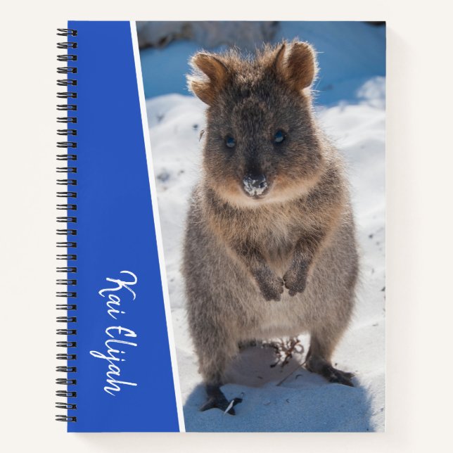 Blue Boys Individuelle Name Quokka am Strand Notizbuch (Vorderseite)