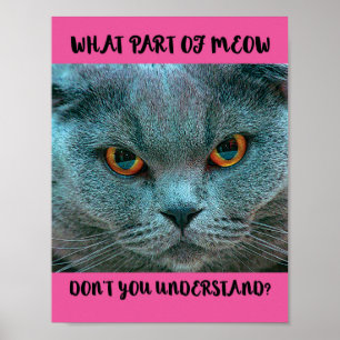 Blue British Shorthair Cat witzig und humorvoll Poster