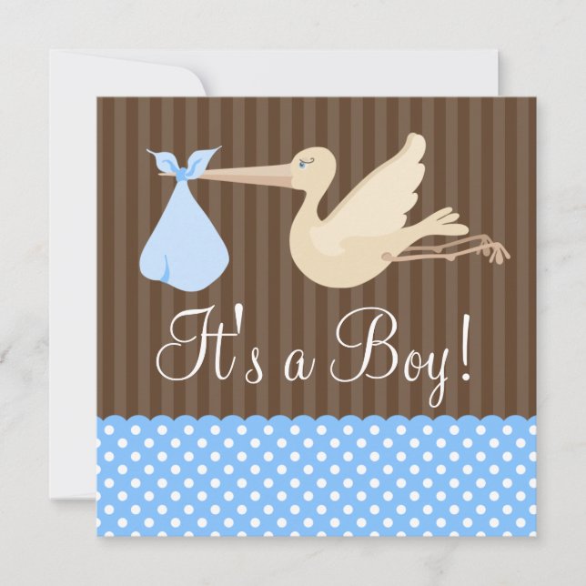 Blue Brown Stork Dots Boy Baby Dusche Einladung (Vorderseite)