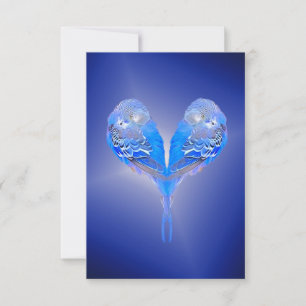 Blue Budgie