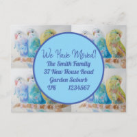 Blue Budgie Art neue Adresse Postcard Wir ziehen