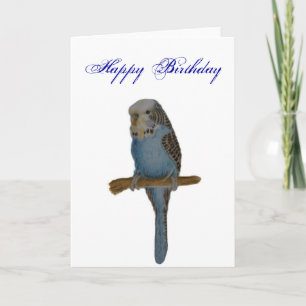 Blue Budgie Karte