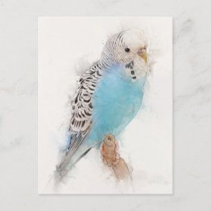 Blue Budgie Portrait Postkarte