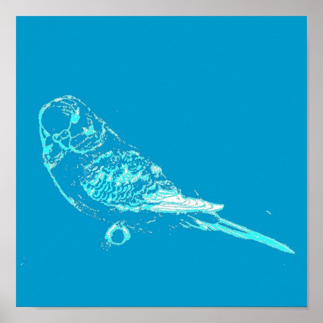 Blue Budgie Poster (Vorne)