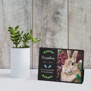 Blue Bunny Paws Greenerity Foto Rabbit Memorial Fotoplatte