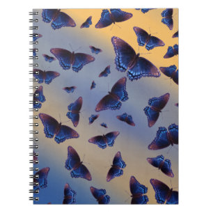 Blue Butterfats Sunrise Notizblock