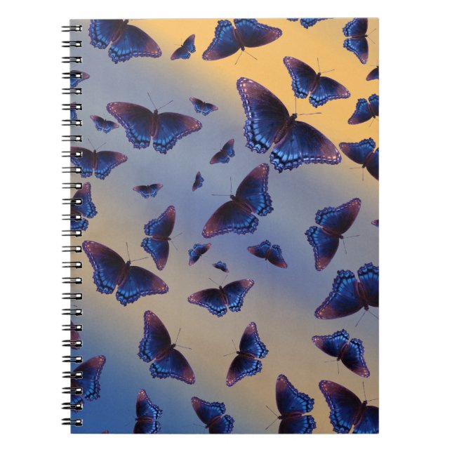 Blue Butterfats Sunrise Notizblock (Vorderseite)