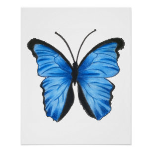 Blue Butterfly Art Poster