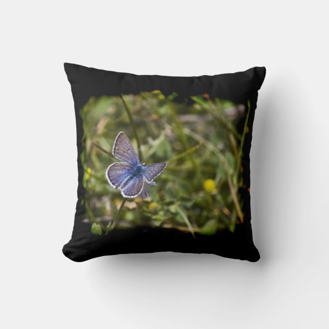Blue Butterfly Black Edge Kissen (Vorderseite)
