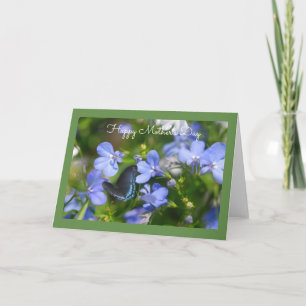 Blue Butterfly in a Blue Garden Grußkarte Karte