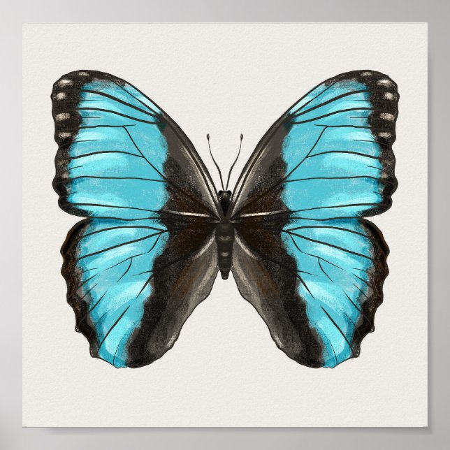Blue Butterfly Insect Art Lover Poster (Vorne)