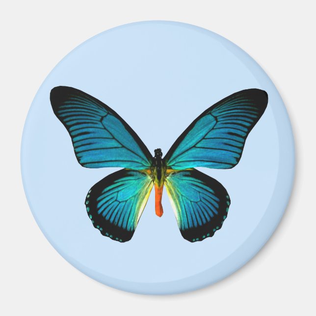 Blue Butterfly Magnet (Vorne)