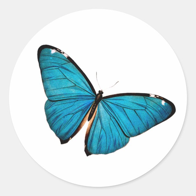 Blue Butterfly Round Sticker (Vorderseite)