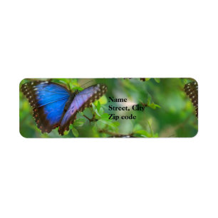 Blue Butterfly Rücksendeadressen-Aufkleber