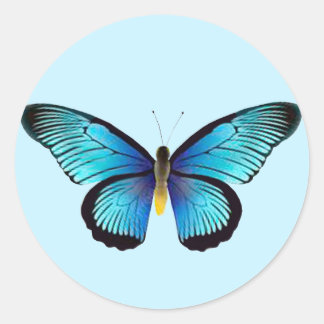 Blue Butterfly Umschlag Aufkleber