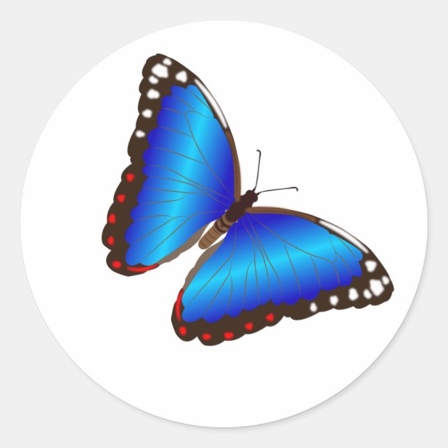 Blue Butterfly Umschlag Aufkleber Stickers (Vorderseite)