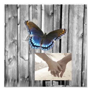 BLue Butterfly Wedding Grey Barn Wood Fotodruck