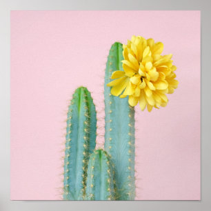 Blue Cactus Trio Poster