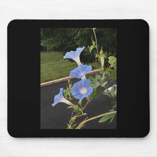Blue Cascade Morning Glory Mousepad (Vorne)