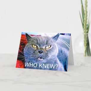 Blue Cat 60. Geburtstagskarte Karte