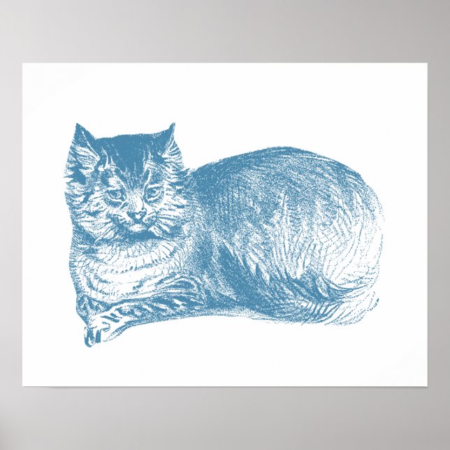 Blue Cat Poster (Vorne)
