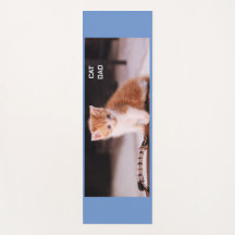 Blue "Cat Vater" Orange Kitten