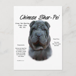 Blue Chinese Shar Pei History, Sharpei, Shar-pei Postkarte